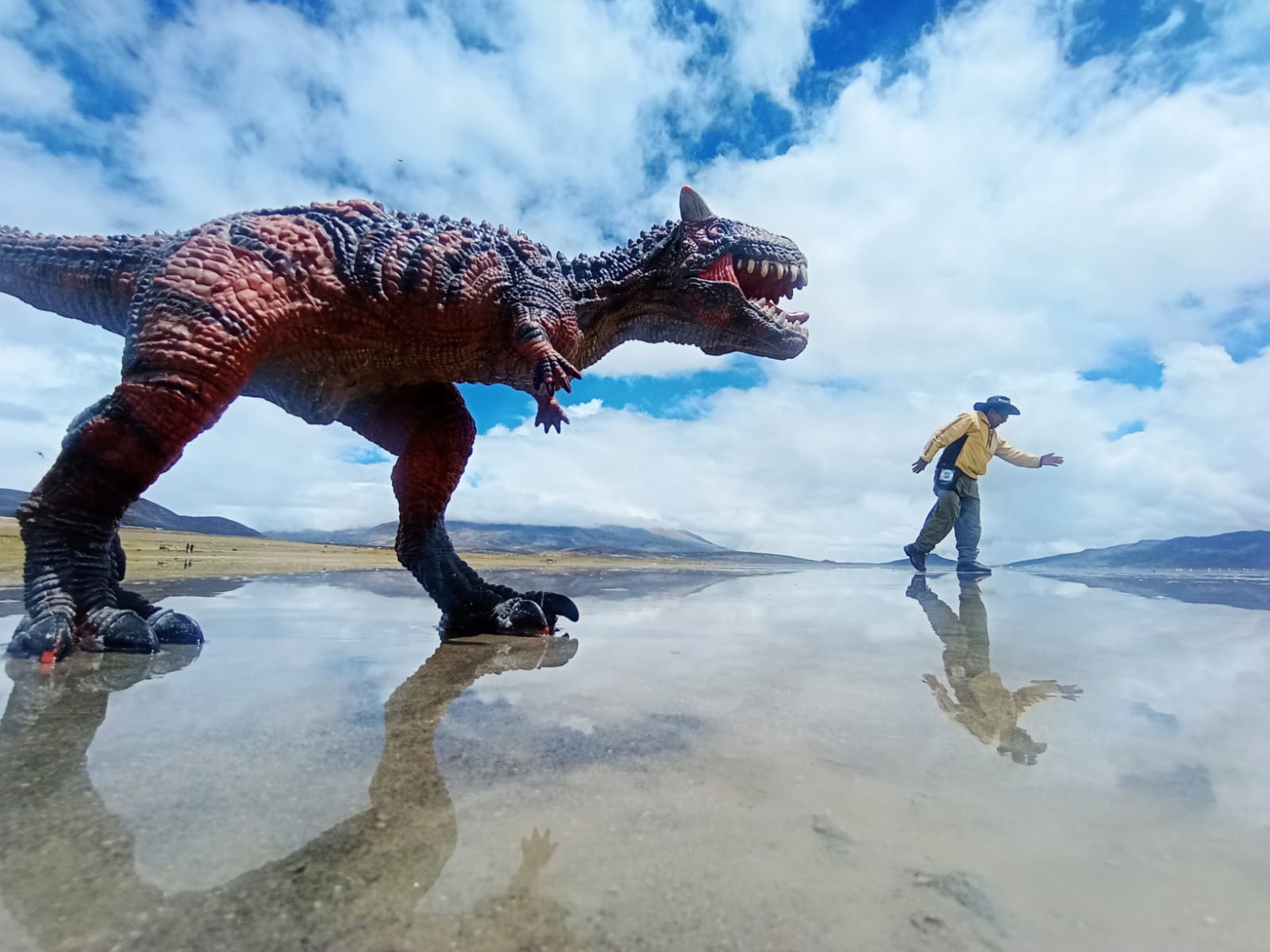 Tour a la Laguna de Salinas